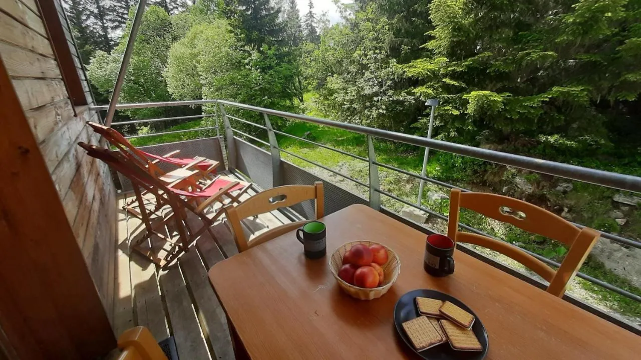 Charmant Appartement Au Pied Des Pistes Шамрусс Апартаменты